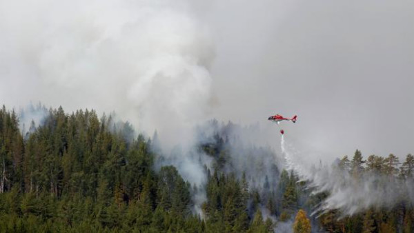 80 skovbrande i Sverige: Nu skal folk forlade et helt område
